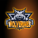 Teamlogo